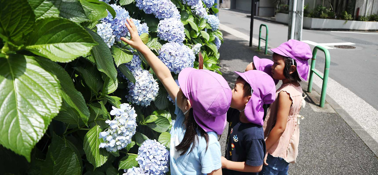 引用: みなと保育園